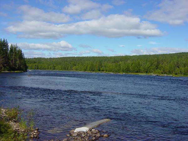 PIC001