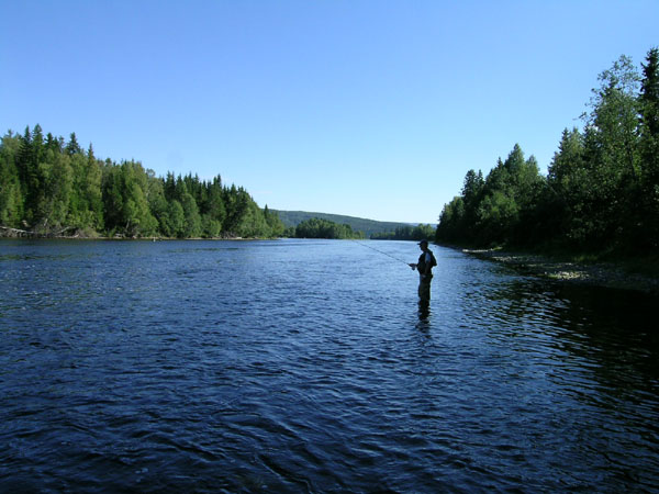 DSCN1706