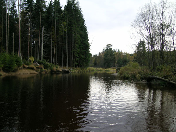 DSCN2098