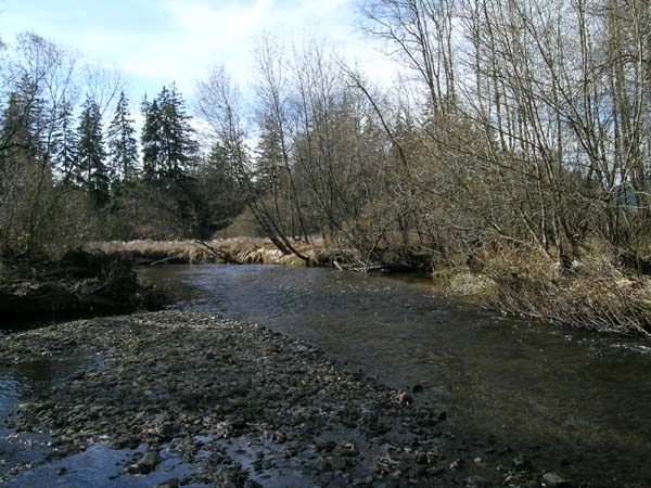 DSCN0033