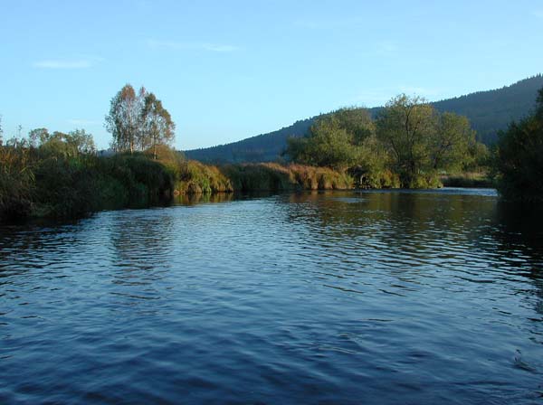 DSCN6772