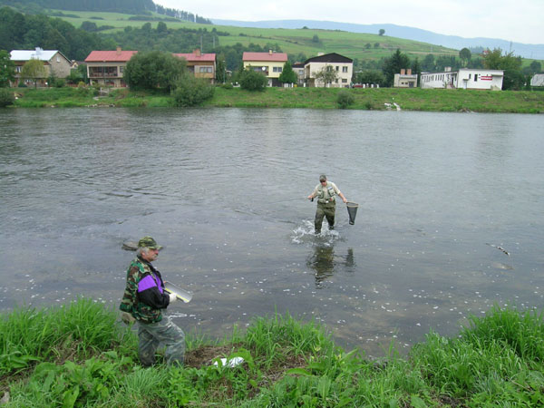 DSCN1882