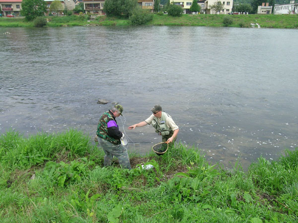 DSCN1883