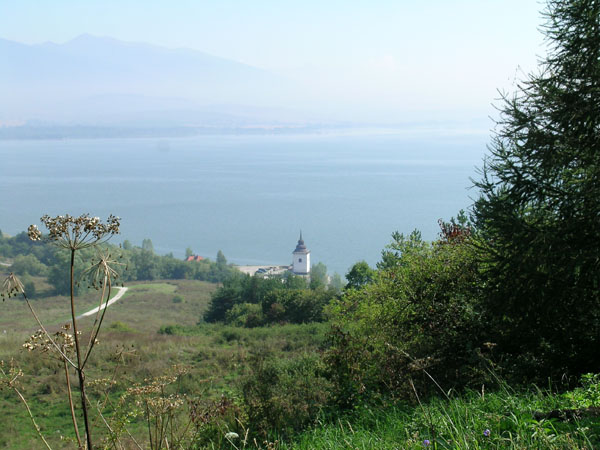 DSCN1893