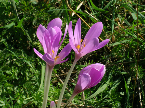 DSCN1895