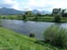 DSCN1877
